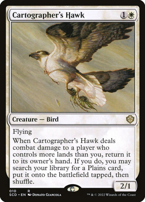 Cartographer's Hawk