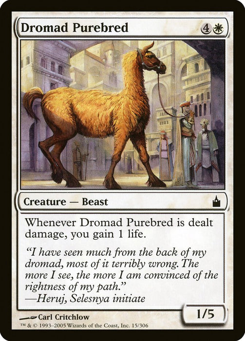 Dromad Purebred  (Foil)