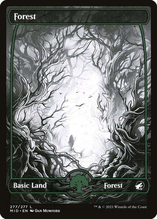 Forest - Full Art  - Fullart (Foil)