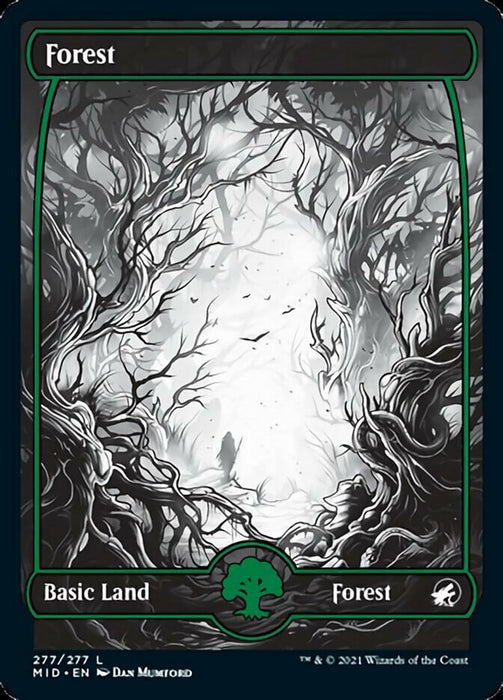 Forest - Full Art  - Fullart