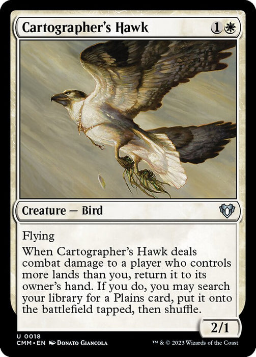 Cartographer's Hawk (Foil)