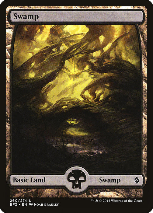 Swamp - Full Art  (Foil)