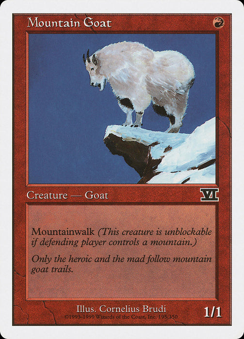 Mountain Goat