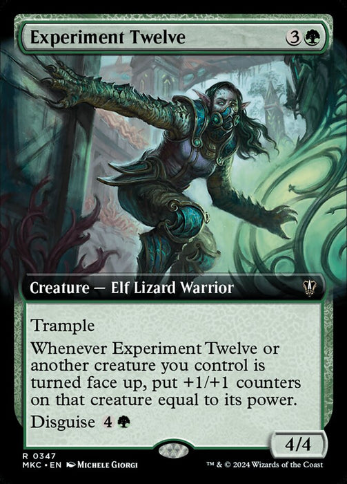 Experiment Twelve - Extended Art