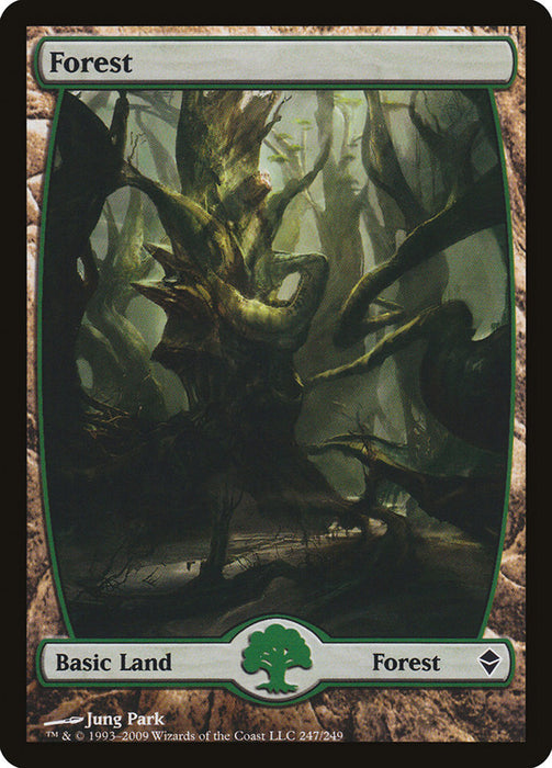 Forest - Full Art