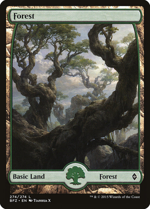 Forest - Full Art