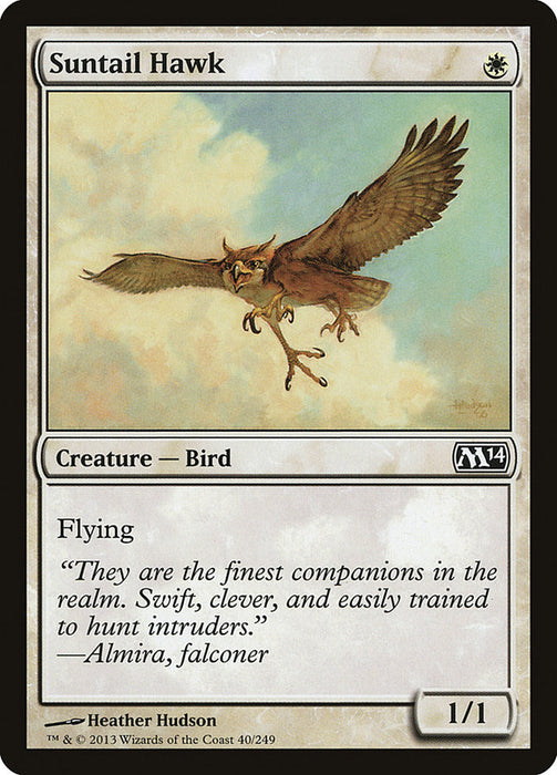 Suntail Hawk  (Foil)