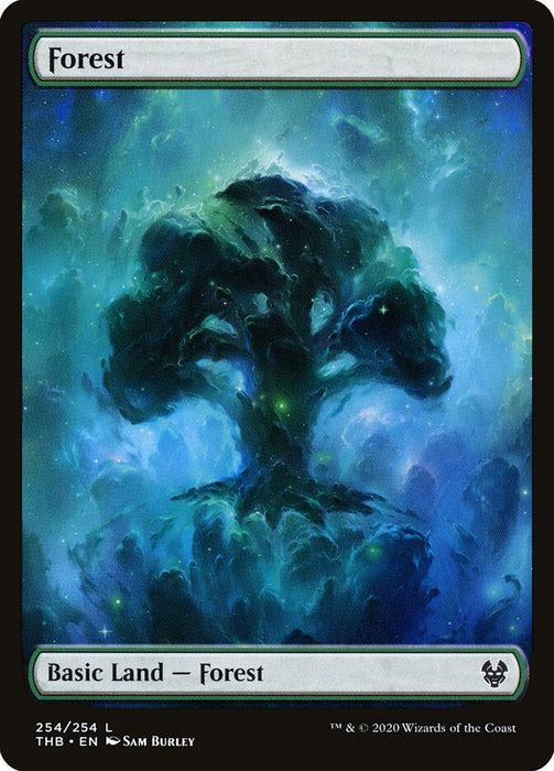 Forest - Full Art  (Foil)