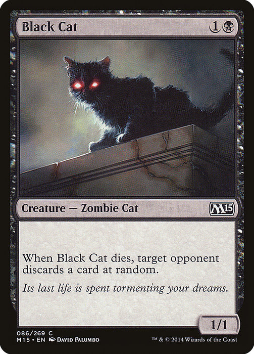 Black Cat  (Foil)