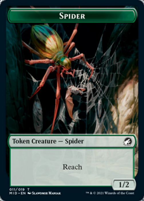 Spider - Borderless