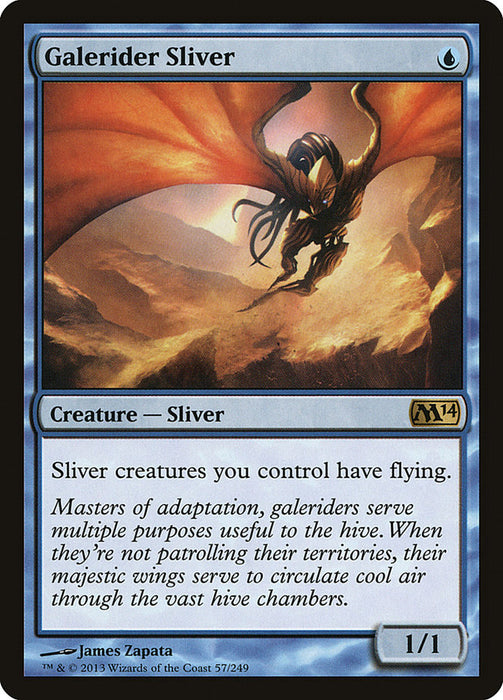 Galerider Sliver  (Foil)