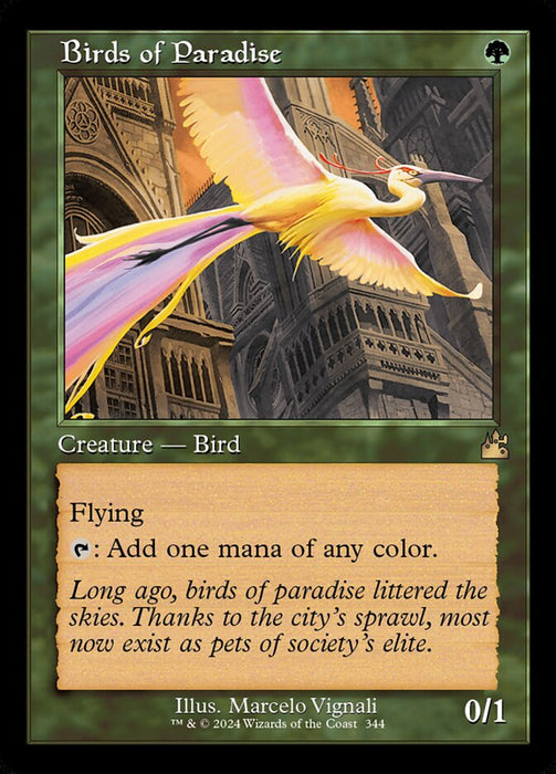 Birds of Paradise - Retro Frame (Foil)