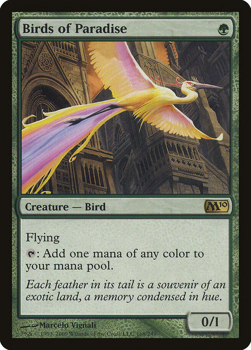 Birds of Paradise  (Foil)