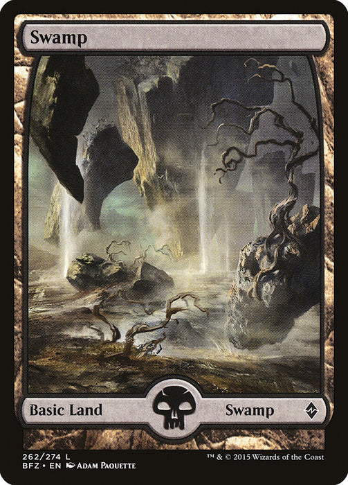 Swamp - Full Art  (Foil)