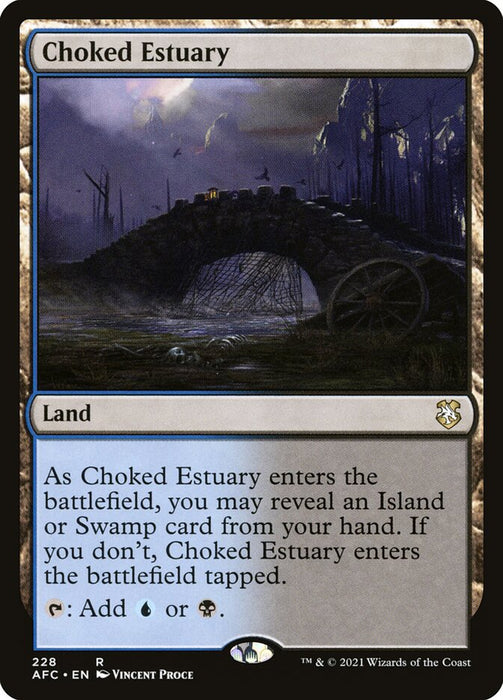 Choked Estuary