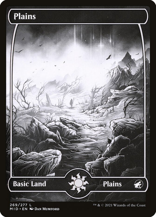 Plains - Full Art  - Fullart (Foil)