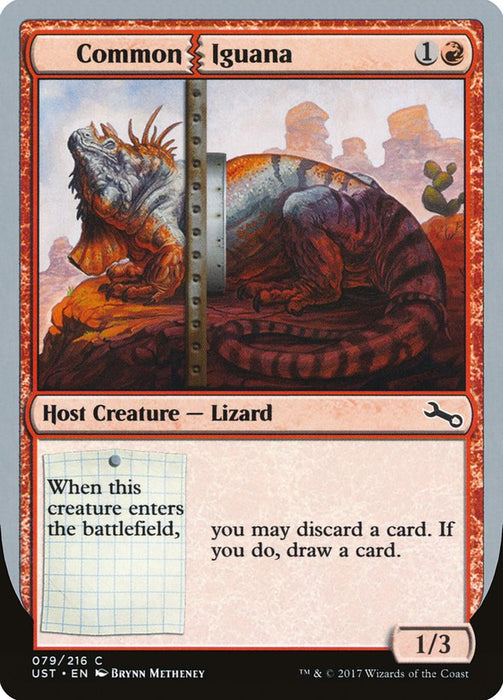 Common Iguana  (Foil)