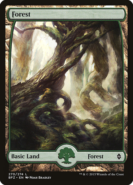 Forest - Full Art  (Foil)