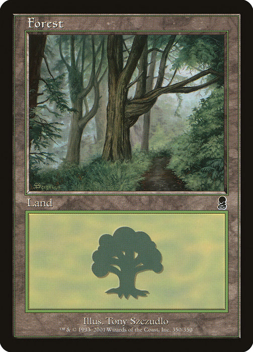 Forest  (Foil)