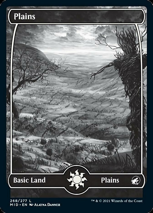 Plains - Full Art  - Fullart