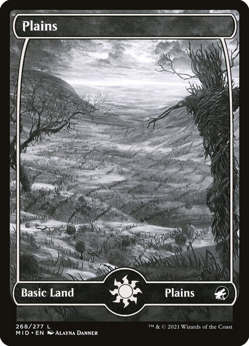 Plains - Full Art  - Fullart (Foil)