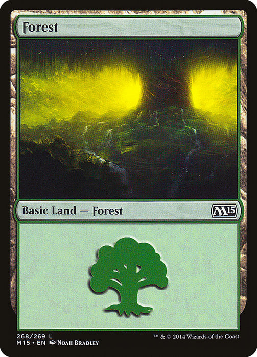 Forest  (Foil)