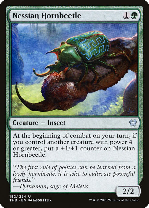 Nessian Hornbeetle  (Foil)