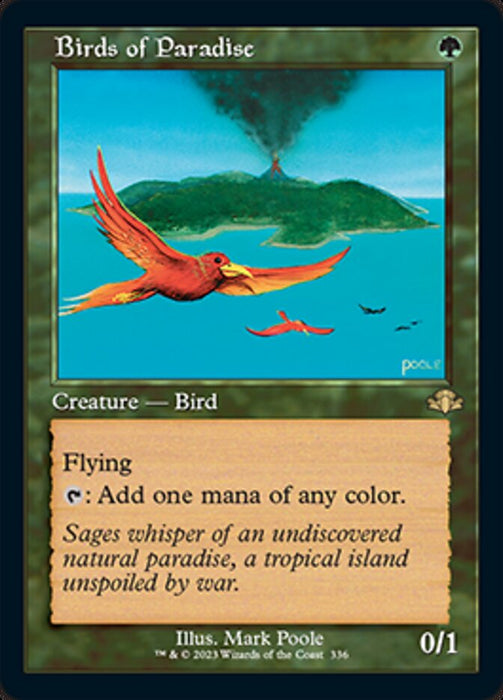 Birds of Paradise - Retro Frame