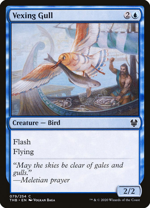 Vexing Gull  (Foil)