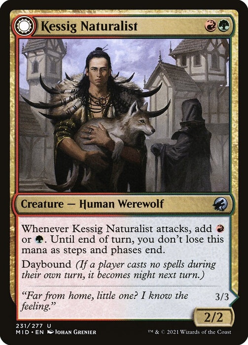 Kessig Naturalist // Lord of the Ulvenwald  - Sunmoondfc (Foil)