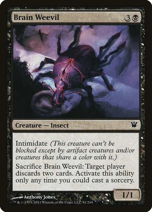 Brain Weevil