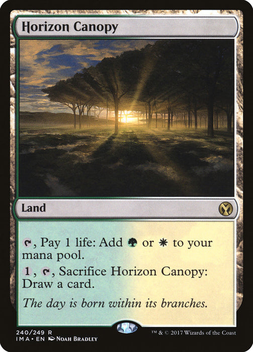 Horizon Canopy  (Foil)