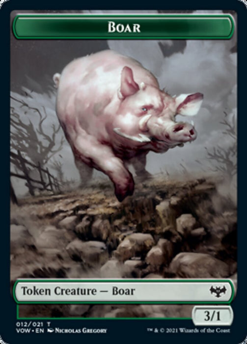 Boar