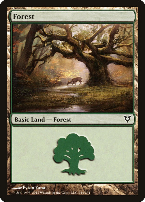 Forest  (Foil)