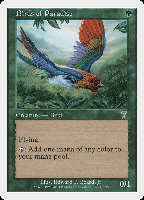 Birds of Paradise