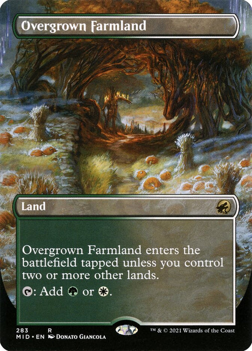 Overgrown Farmland - Borderless  - Inverted