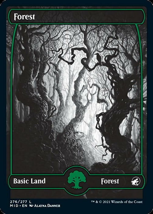 Forest - Full Art  - Fullart