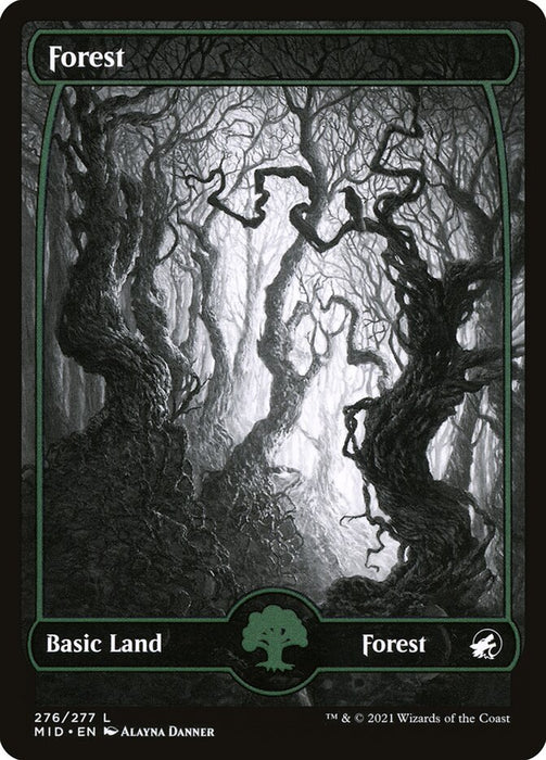 Forest - Full Art  - Fullart (Foil)