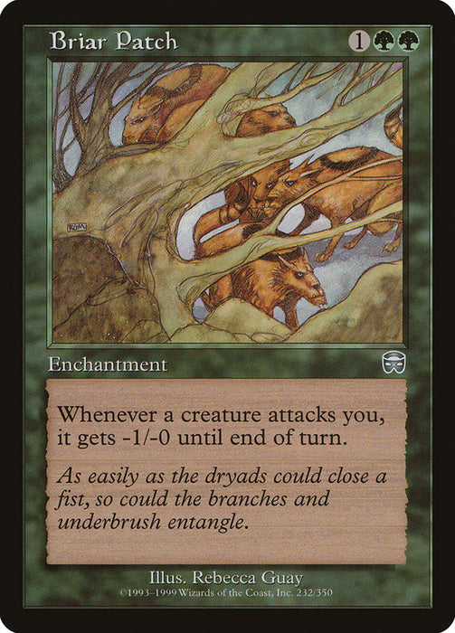 Briar Patch  (Foil)