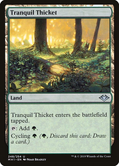 Tranquil Thicket  (Foil)