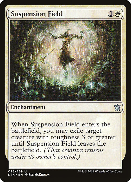 Suspension Field  (Foil)