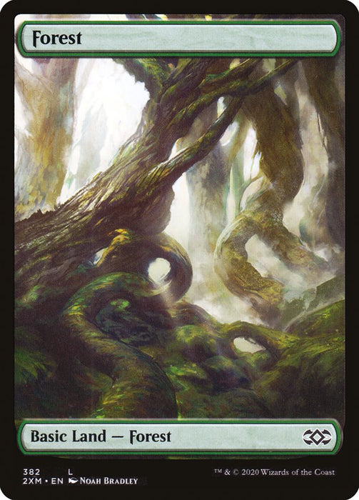 Forest - Full Art