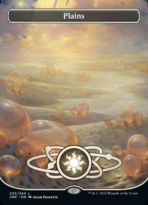 Plains - Borderless - Full Art - Inverted (Foil)