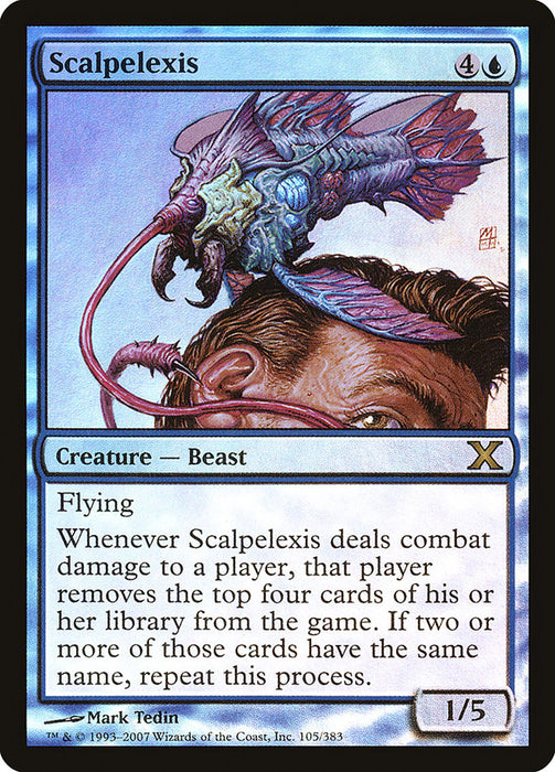 Scalpelexis  (Foil)