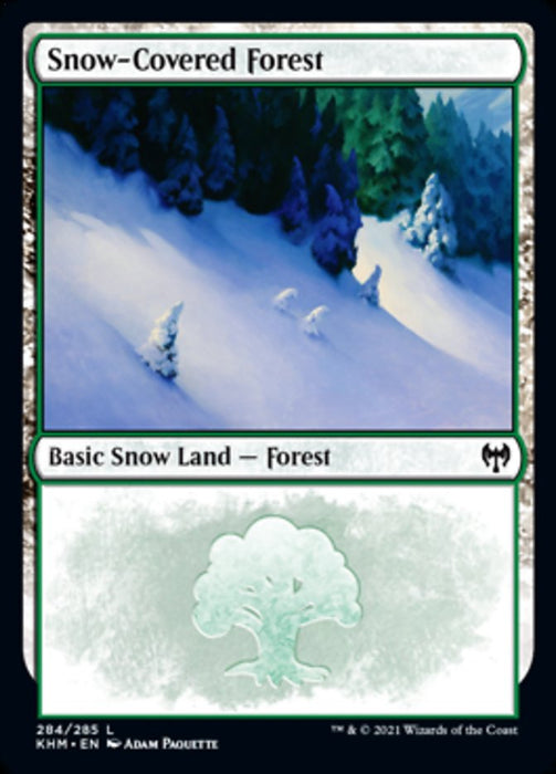 Snow-Covered Forest  - Snow