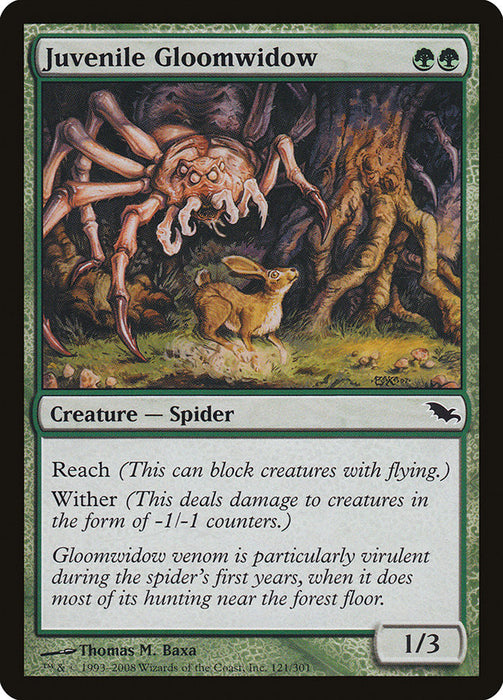 Juvenile Gloomwidow  (Foil)