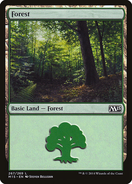 Forest  (Foil)