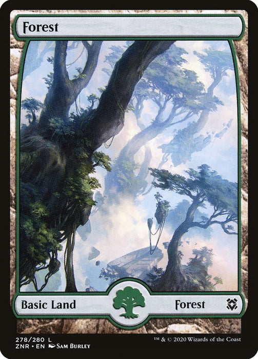 Forest - Full Art  - Fullart (Foil)