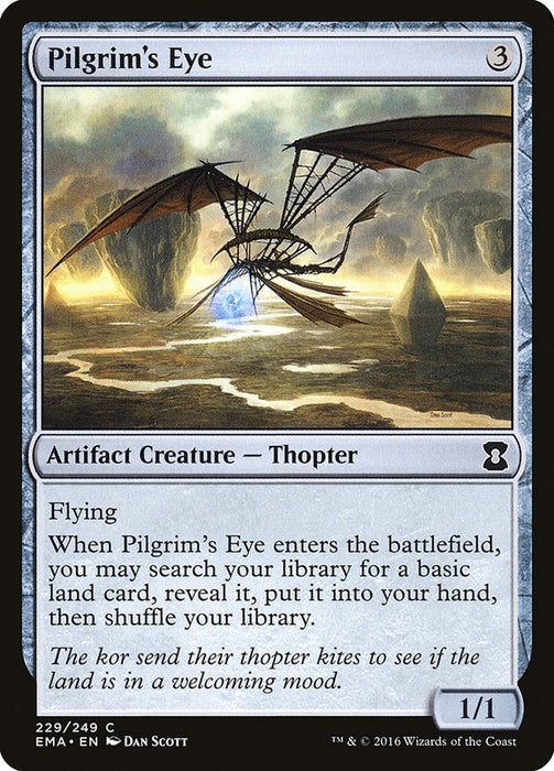 Pilgrim's Eye