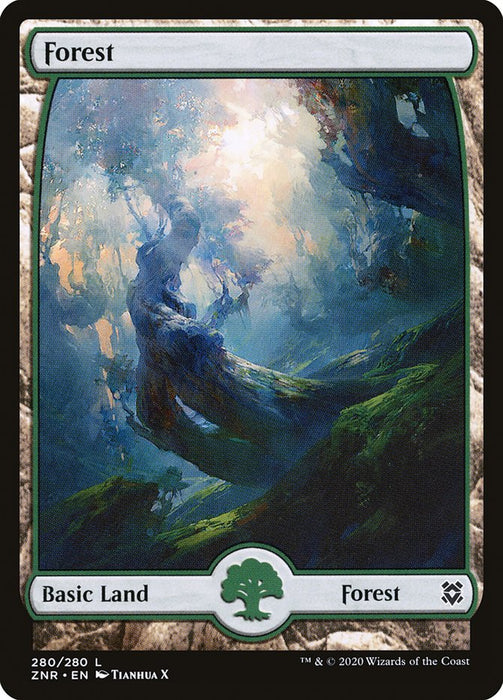 Forest - Full Art  - Fullart (Foil)